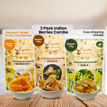 Load image into Gallery viewer, Healthy Snack Combo | Vacuum Dried Amla, Mango and Ginger Candy | Indian Berries